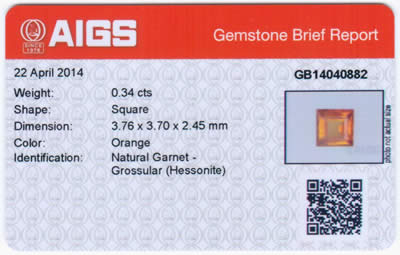Gem Report