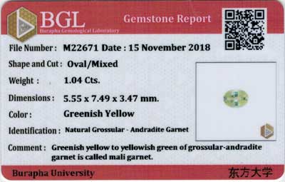Gem Report