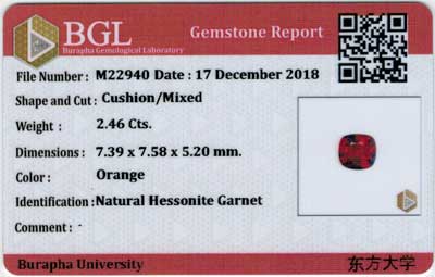 Gem Report