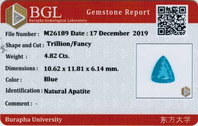 Gem Report