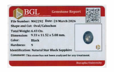 Gem Report