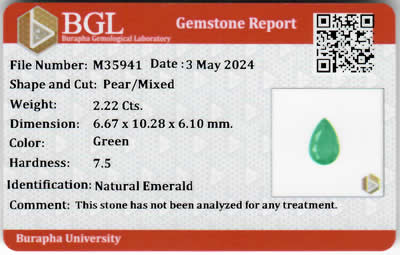 Gem Report