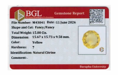 Gem Report