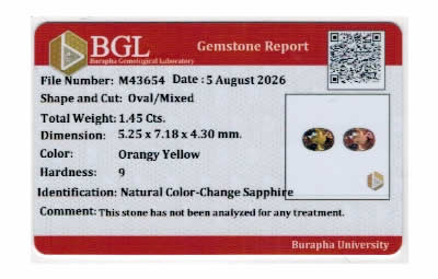 Gem Report