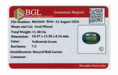 Gem Report