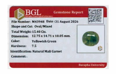 Gem Report