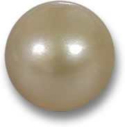 Perla d'oro d'acqua salata coltivata