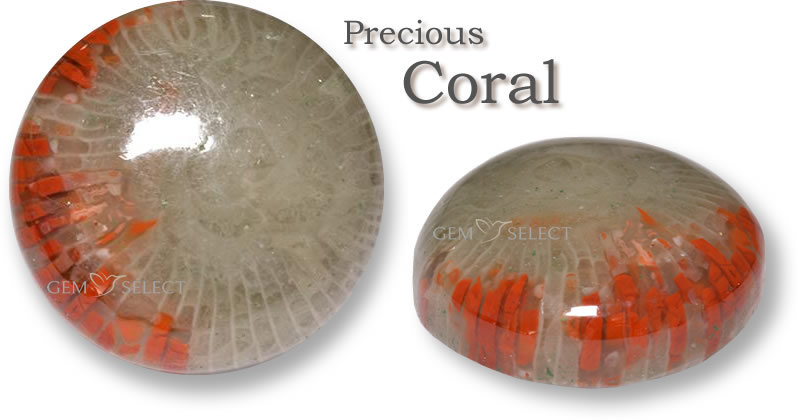 Acquista pietre preziose di corallo per Toro da GemSelect - Immagine grande