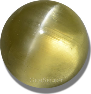 Pietra preziosa cabochon di apatite occhio di gatto