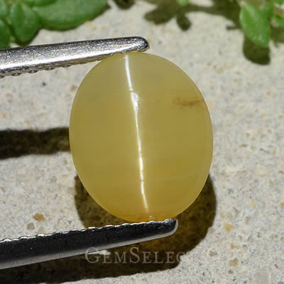 Cabochon in opale occhio di gatto dorato di GemSelect