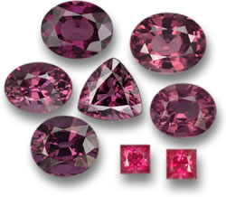 Spinello rosa