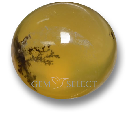 Pietre preziose di opale muschiato di GemSelect - Immagine grande