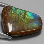 Ammolite a taglio semplice