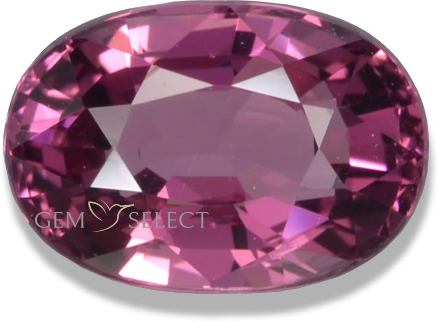 Una gemma di granato rodolite di GemSelect - Immagine grande