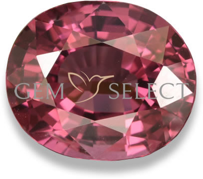 Una gemma di granato rodolite di GemSelect - Immagine grande