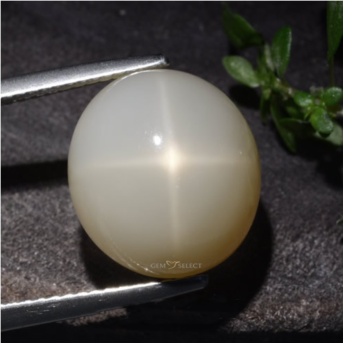 Pietre preziose Star Moonstone da GemSelect - Immagine grande