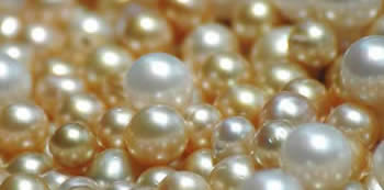 Belle perle