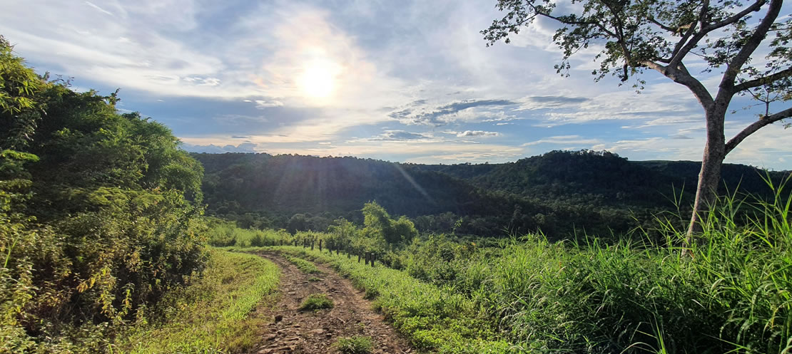 Montagna gemma di Ratanakiri in Cambogia