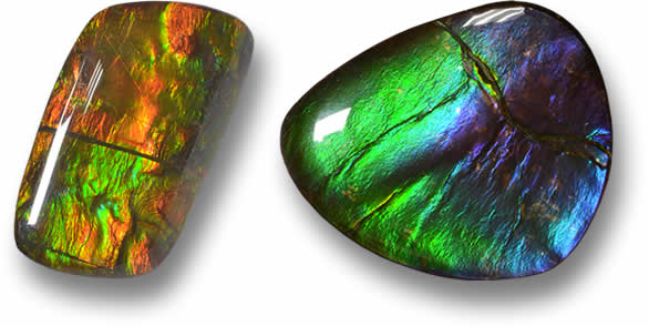 Ammolite sfusa in vendita