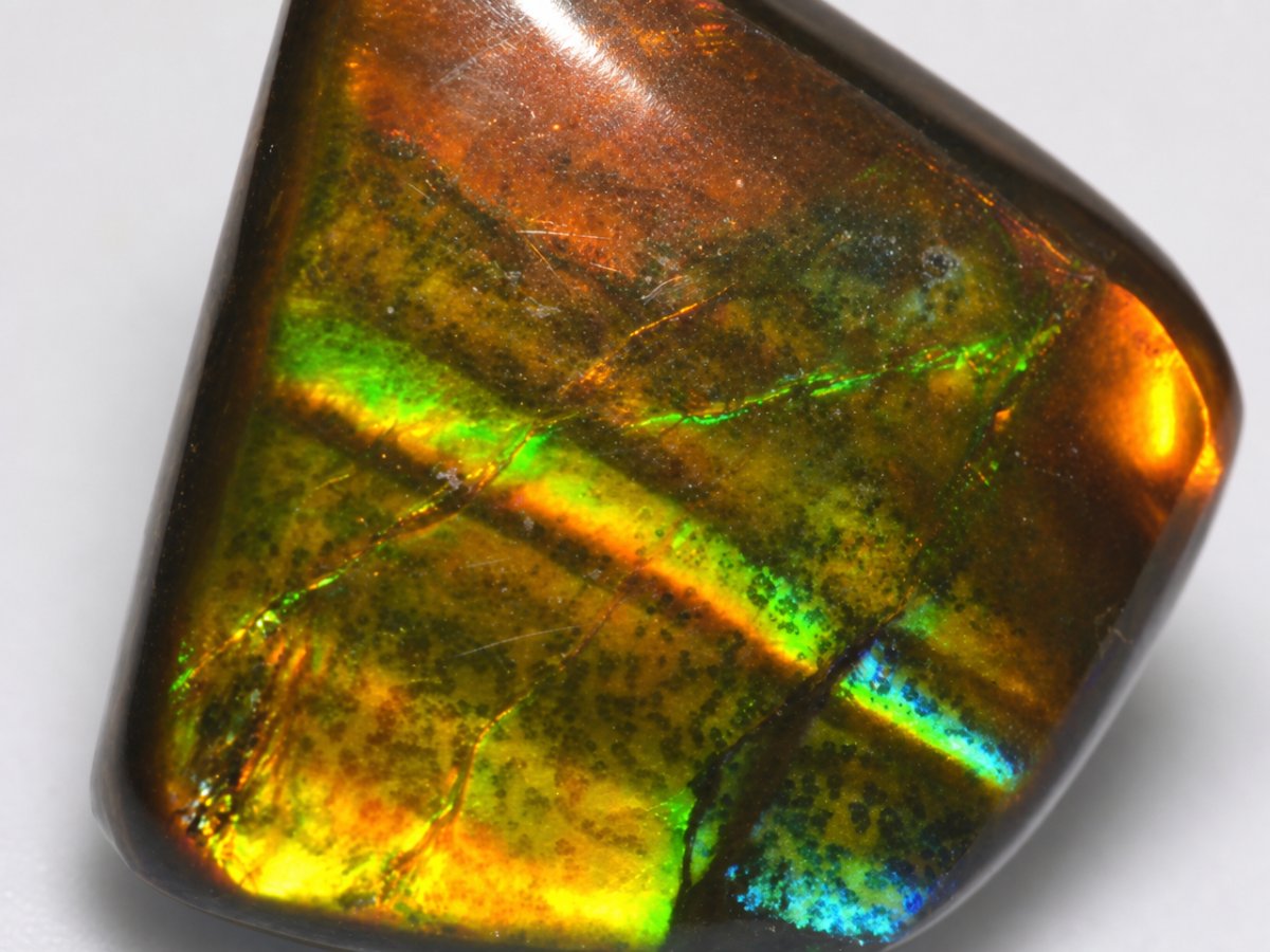 Vista ravvicinata di gemme di ammolite naturale