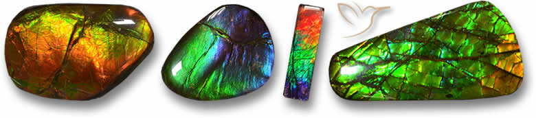 Pietre preziose di ammolite di forma strana