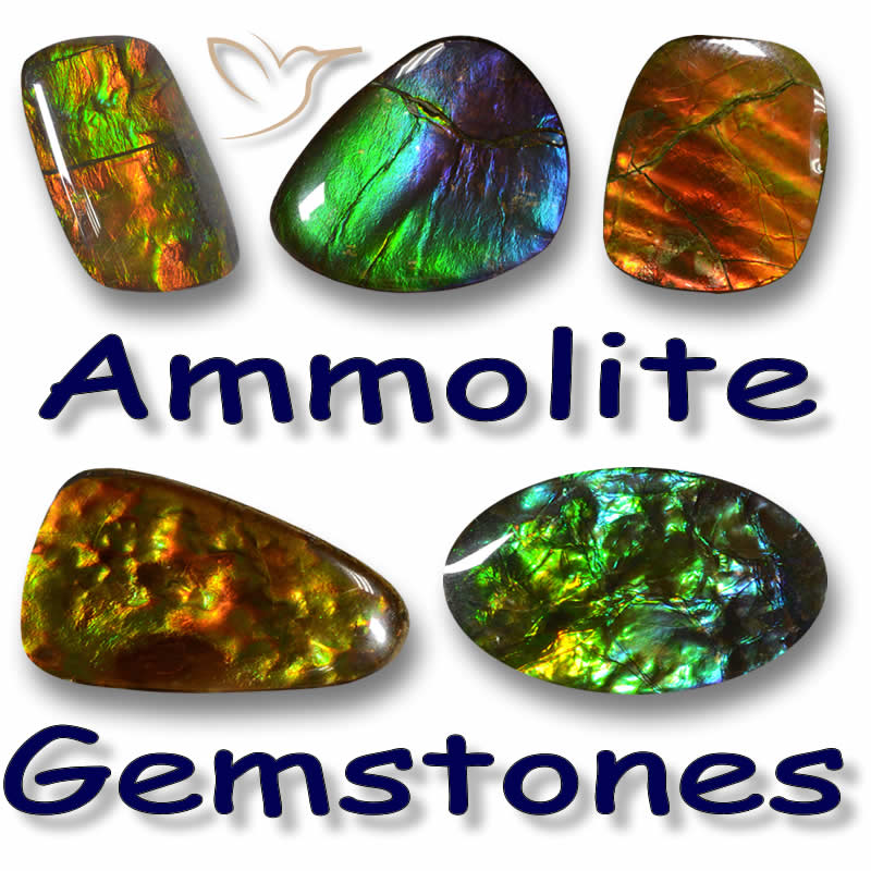 Ammolite Gemstones
