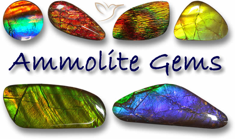 Acquista ammolite
