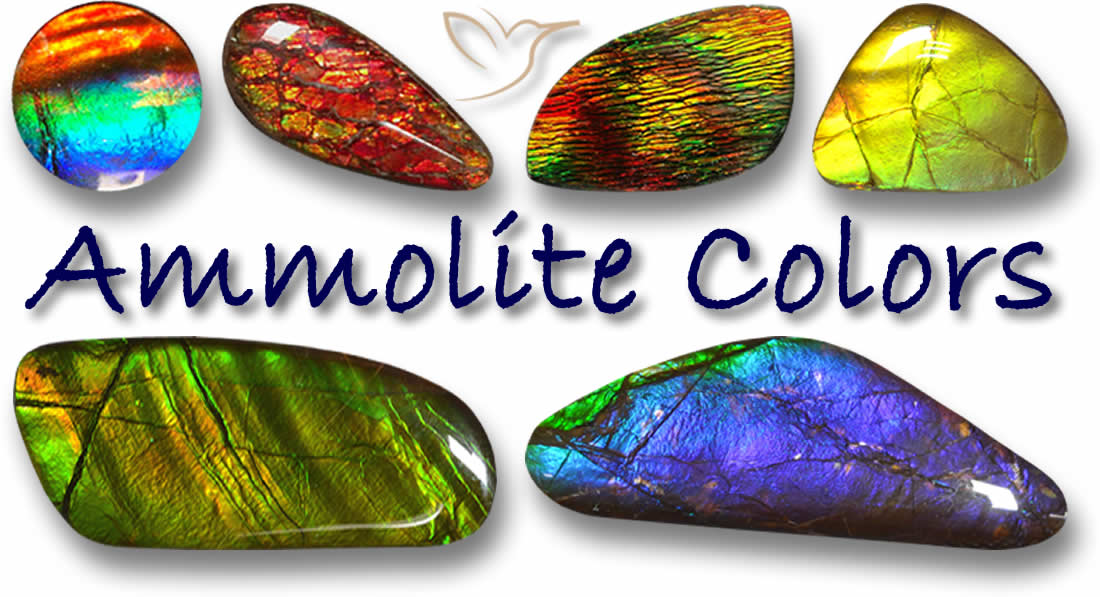 Acquista ammolite