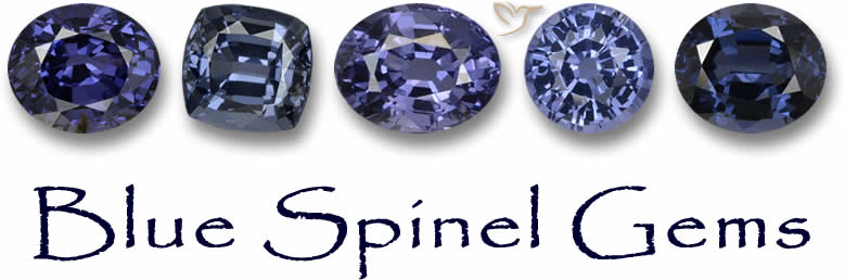Spinello blu