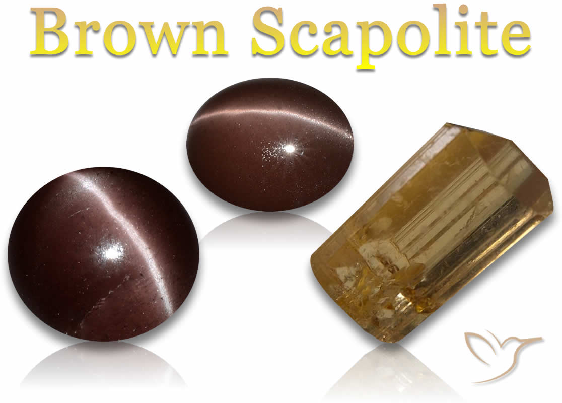 Acquista Scapolite marrone
