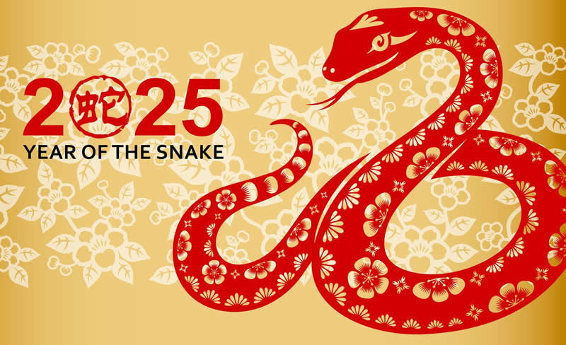 Capodanno cinese e pietre preziose dell'anno del serpente