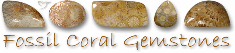 Pietre preziose di corallo fossile