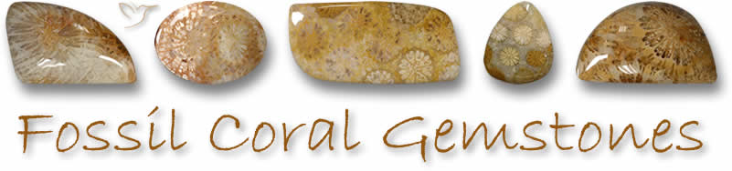 Buy Fossil Coral Gemstones