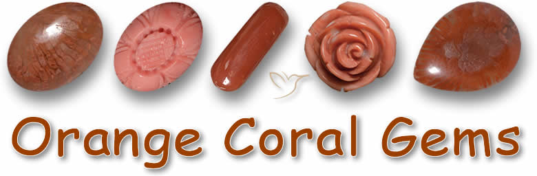 Acquista gemme di corallo arancione