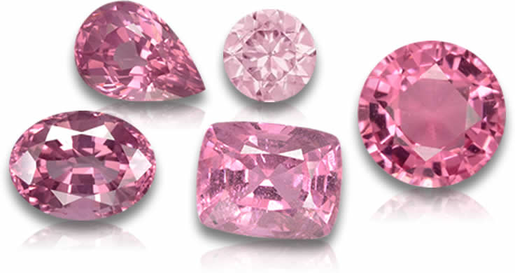 Spinello rosa in vendita