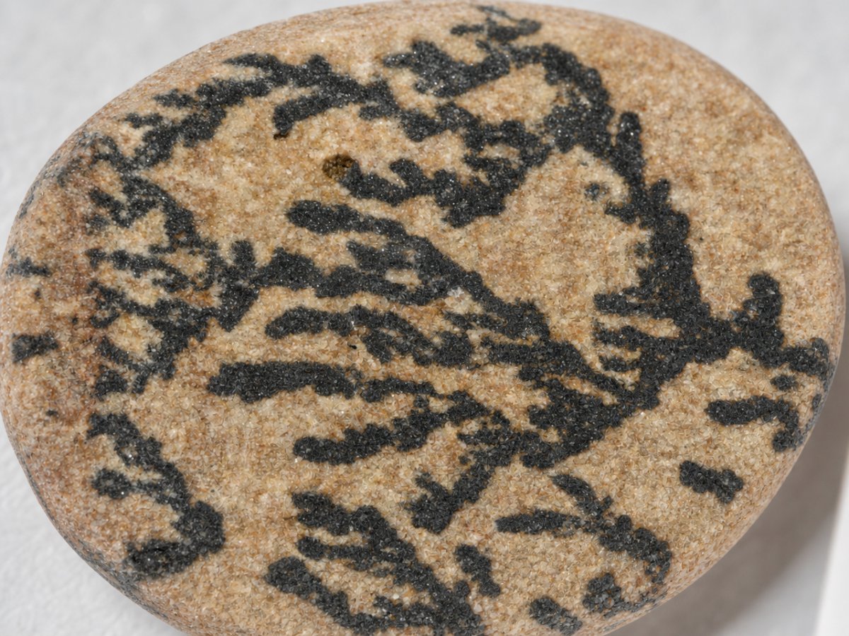 Vista ravvicinata di gemme naturali di dendrite psilomelana