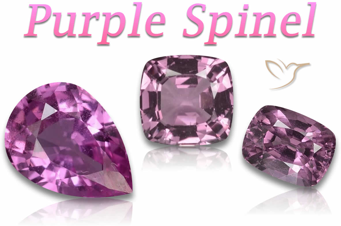Acquista Spinello viola