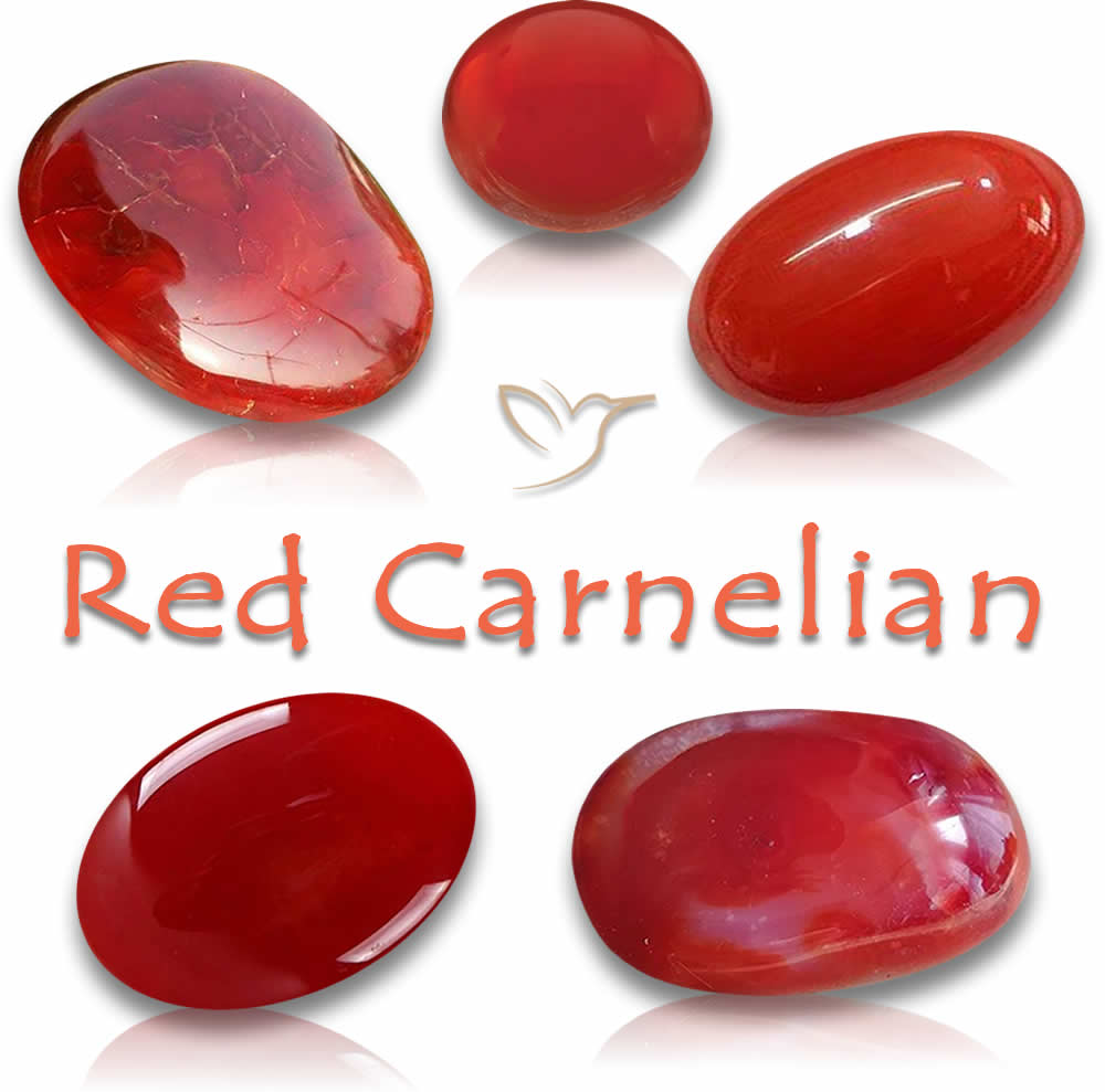 Acquista pietre preziose di corniola rossa