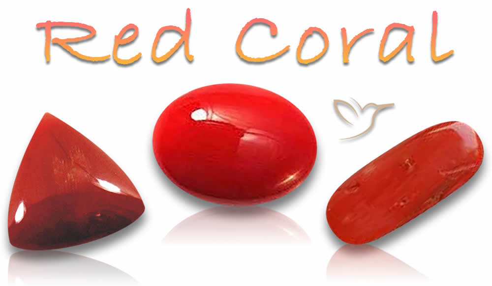 Acquista pietre preziose di corallo rosso