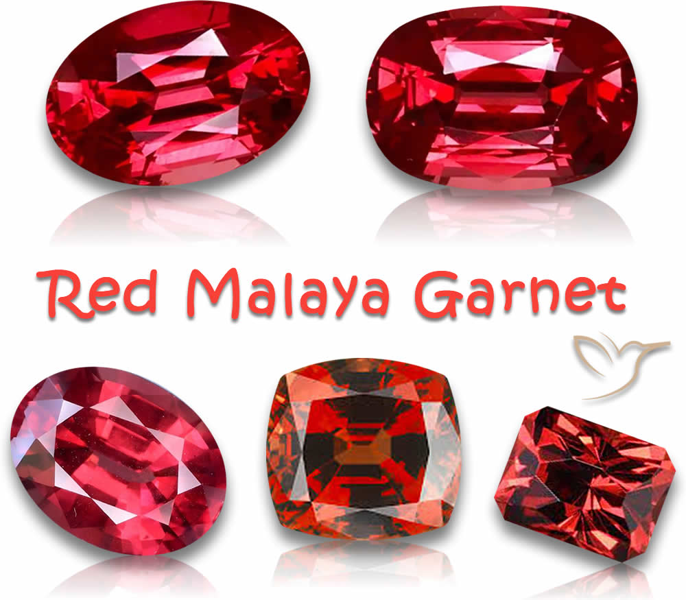 Acquista pietre preziose di granato rosso della Malesia
