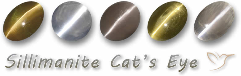 Acquista pietre preziose occhio di gatto Sillimanite