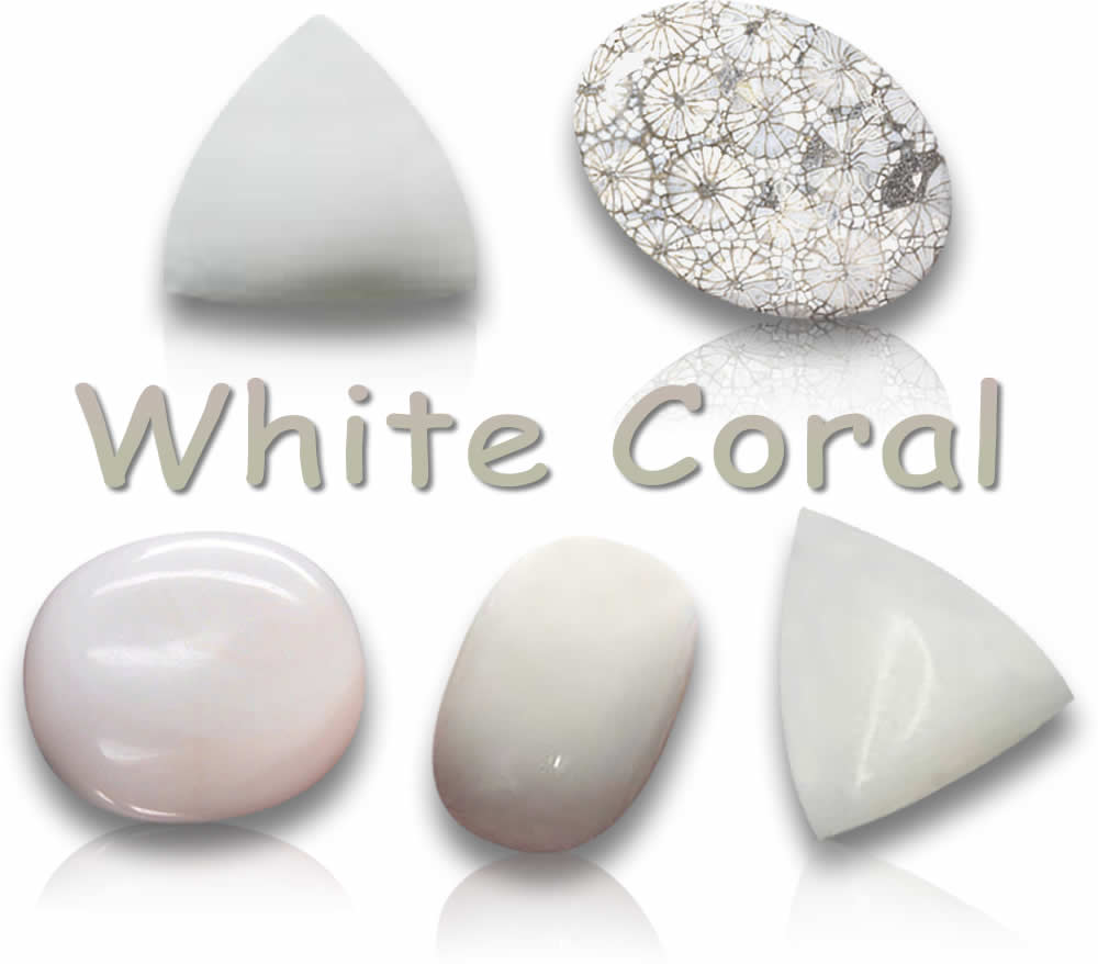 Pietre preziose di corallo bianco naturale
