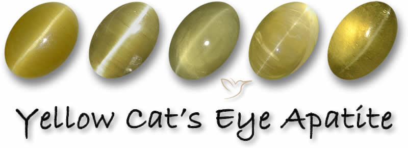 Acquista pietre preziose di apatite occhio di gatto giallo