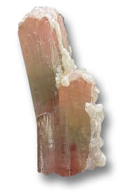Tormalina Liddicoatite