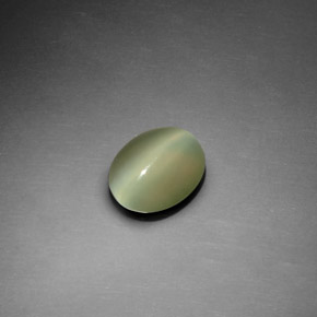 Occhio di gatto actinolite Verde naturale da 1.22 ct, Taglio ovale, Trasparente