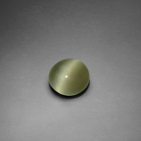 Occhio di gatto actinolite Verde naturale da 1.33 ct, Taglio rotondo, Trasparente