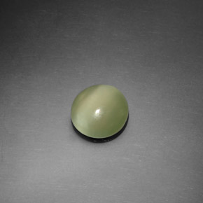 Actinolite cat's eye naturale verde da 1,10 ct, taglio rotondo, trasparente