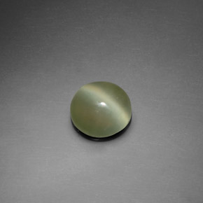 Actinolite cat's eye naturale verde da 1,39 ct, taglio rotondo, trasparente