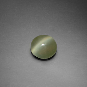 Actinolite cat's eye naturale verde da 1,39 ct, taglio rotondo, trasparente