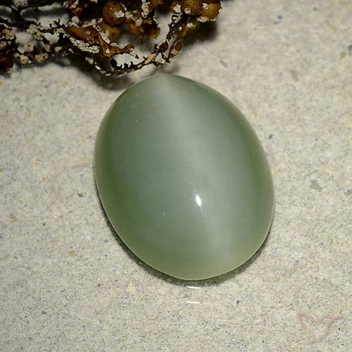 6.14ct Naturale Verde terroso Occhio di gatto actinolite, Ovale, Traslucido